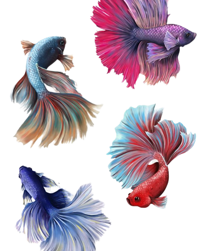 Aquarium Fishes (Ornamental Fishes)