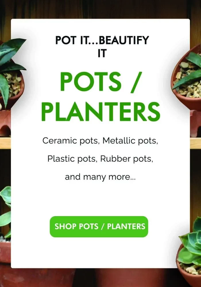 pot planters